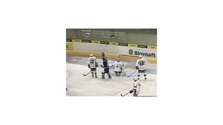 Extraliga - MHC Mountfield - Skalica 5:2