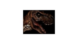 Najkurióznejšie správy roka: Dinosaurí podnikateľ či biliardový účet