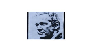 Aktivisti spúšťajú slovenskú verziu Wikileaks