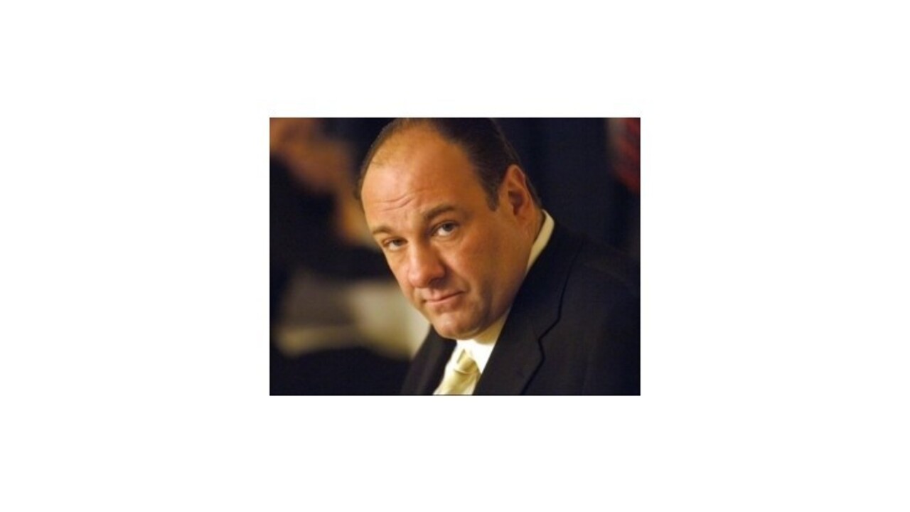 Vo veku 51 rokov zomrel herec James Gandolfini