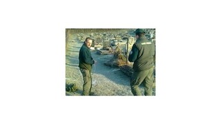 Starostu stíhajú za výrub stromov na cintoríne