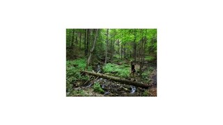 Národný park Slovenský raj oslavuje 50 rokov, turistov čakajú zmeny
