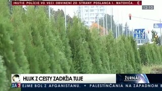 Žiarčania sa chcú zbaviť hluku výsadbou tují