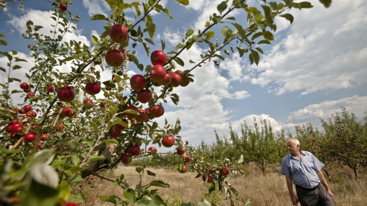 Farmár našiel počas boja s krtmi staroveký poklad