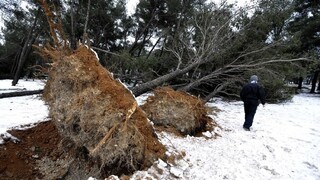 Na horách fúka mimoriadne silný vietor, vydali najvyššie výstrahy