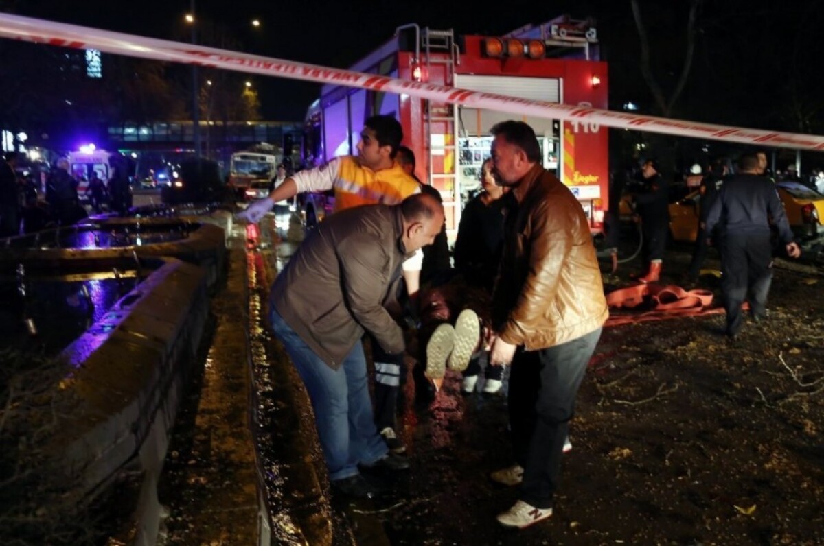 turkey_attack-c5c247c9ba694a059407c92dadb54a61.jpg