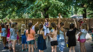 V detskom domove Tomanovej dcéry nedostatky nezistili