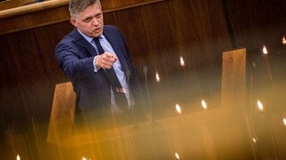 Chceme ponúknuť alternatívne riešenie situácie s migrantmi, prezradil Fico