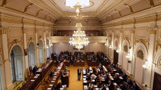Do českej Poslaneckej snemovne kandiduje rekordný počet subjektov