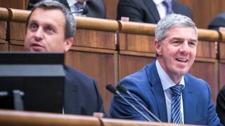 Modernizácia či nové múzeum. Čo chcú presadiť SNS s Mostom