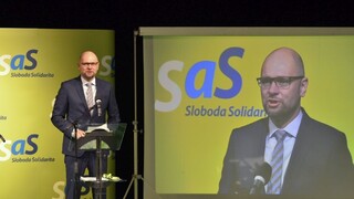 SaS by mohla dosiahnuť 20 percent volebného zisku, tvrdí Sulík