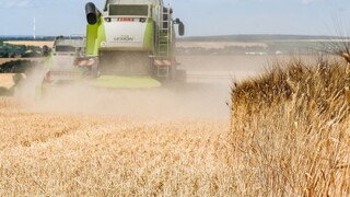 Slovenské družstvá spájajú sily, dosahujú vyššiu efektivitu