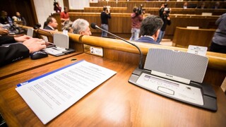 Zmeny vo fungovaní strán majú prejsť ústavnou väčšinou, zhodli sa poslanci