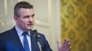 Pellegrini nastupuje na miesto dočasného ministra kultúry