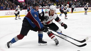 NHL: Pánik s gólom a asistenciou, Arizona však v Colorade prehrala