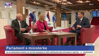 Parlament o ministerke