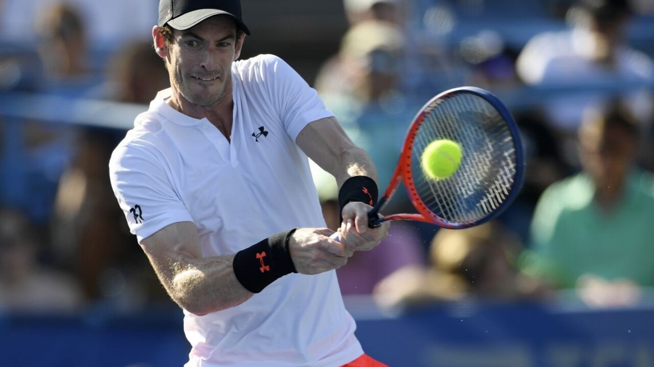 Andy Murray 1140 px (SITA/AP)