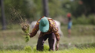 Farmárovi ponúkajú závratné sumy, on sa však nechce vzdať pôdy