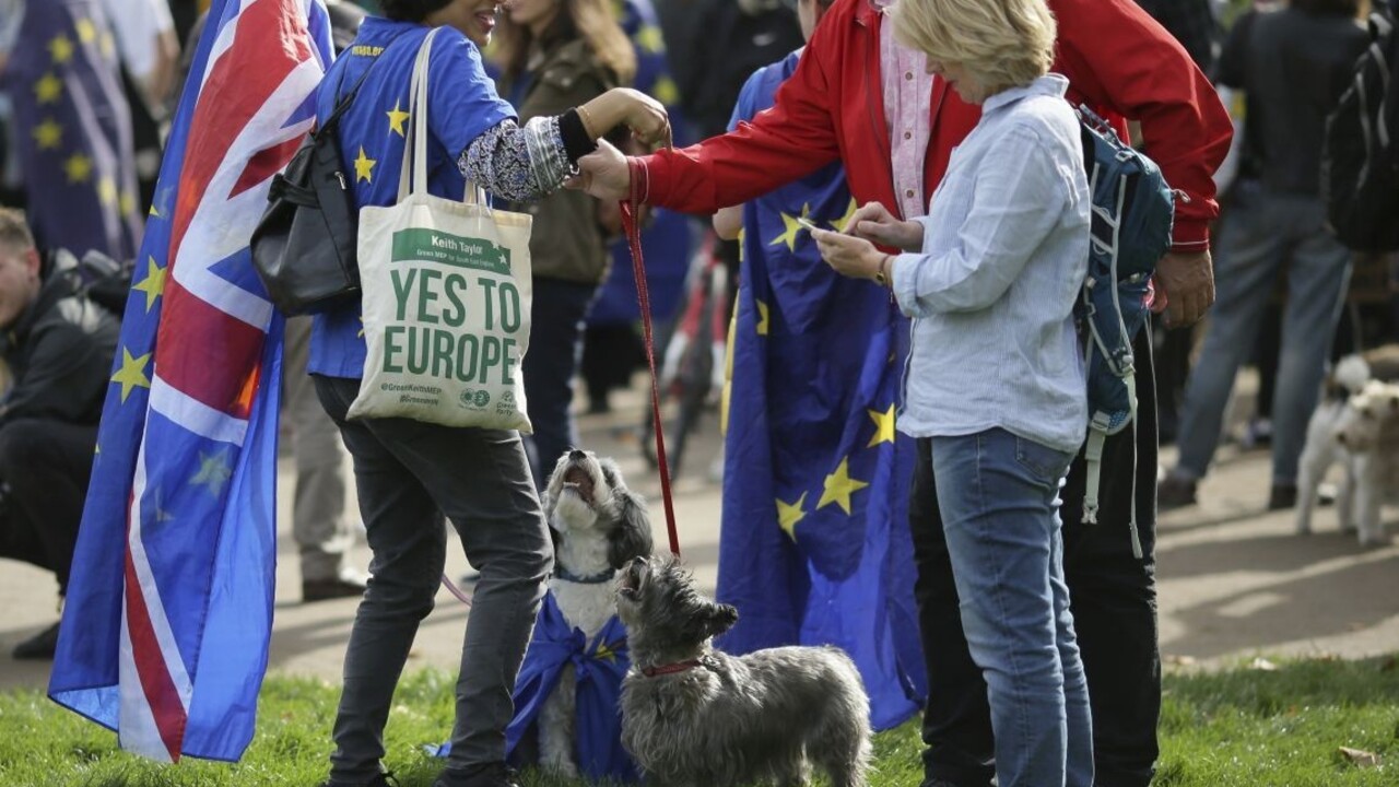 Briti žiadali nové referendum o brexite, boja sa o svojich psov