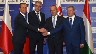 V4 bude v obrane postupovať spoločne, zhodli sa na tom ministri obrany