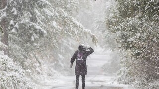 Varujú pred poľadovicou, má postihnúť väčšinu územia Slovenska