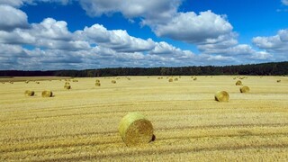 Počasie farmárov skúša. Jednorázové opatrenia nestačia, tvrdia