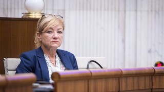 Stratégia rozvoja kultúry bude manuálom podpory, tvrdí Laššáková