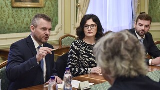 Rezort by mal dotácie lepšie vysvetliť. Premiér vyzval Lubyovú