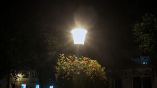 V Bratislave niekto nastražil kábel z lampy, elektrina zasiahla psa
