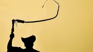 Obetovali ťavy, aby Rusko prekvitalo. Prípad rieši prokuratúra