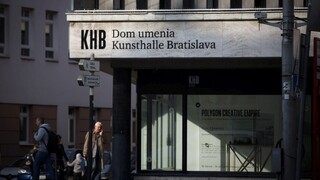 Ministerka vyhovela umelcom, Kunsthalle sa stane samostatnou organizáciou
