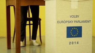 Eurovoľby sa blížia, na Slovensku sa očakáva nízka účasť