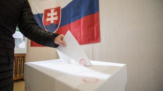 Volebné moratórium sa nezruší, návrh zmien od SaS neprešiel