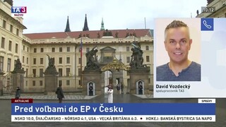 D. Vozdecký o eurovoľbách v Česku