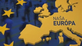 Naša Európa: História volieb do EP