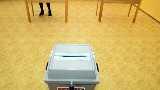 D. Vozdecký o eurovoľbách v susednom Česku