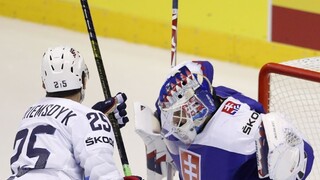 NHL: Rybár dostal kvalifikačnú zmluvu, Daňovi sa tentokrát neušla