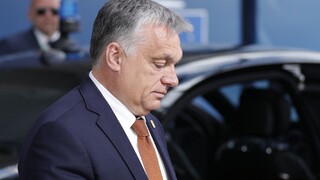 V Maďarsku schválili kontroverzný zákon o akadémii vied
