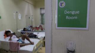 Humanitárny expert OSN D. Zupka o epidémii horúčky dengue