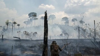 Bolsonaro verzus Lula. Kandidáti predstavili stratégiu na ochranu Amazonského lesa