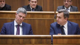 V minulosti už boli odmietnuté, tvrdí Bugár o návrhoch zákonov