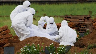 Neexistuje liek ani vakcína. Odborníci varujú pred vírusom nipah