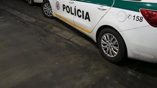 Matku troch detí, ktorá sa stratila na Nový rok, našli mŕtvu