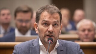 OĽANO zverejnilo utajené časti zmluvy o mýte. Rezort reagoval