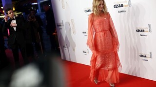 Po kritike abdikovalo vedenie, ktoré udeľuje prestížne filmové ceny