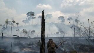 Amazonský prales naďalej mizne a stráca svoju hlavnú funkciu