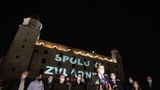 Nižšie platy? Ústavní činitelia by počas krízy mohli zarábať menej