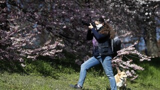 V ČR pribúdajú nakazení i obete, minister chce prísnejšie pokuty