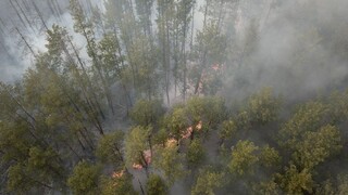 Požiar v černobyľskej zóne sa dostal k neslávne známemu mestu