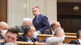 Smer sa chce pre Lex Lipšic obrátiť na ÚS, počká na prezidentku